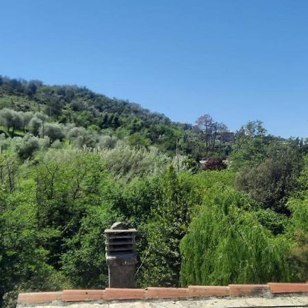 Vecchio Mulino Fontona Ortensia Chiesanuova  Extérieur photo