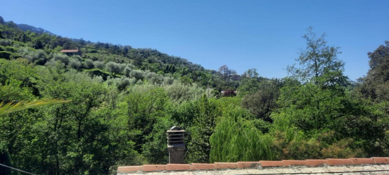 Vecchio Mulino Fontona Ortensia Chiesanuova  Extérieur photo