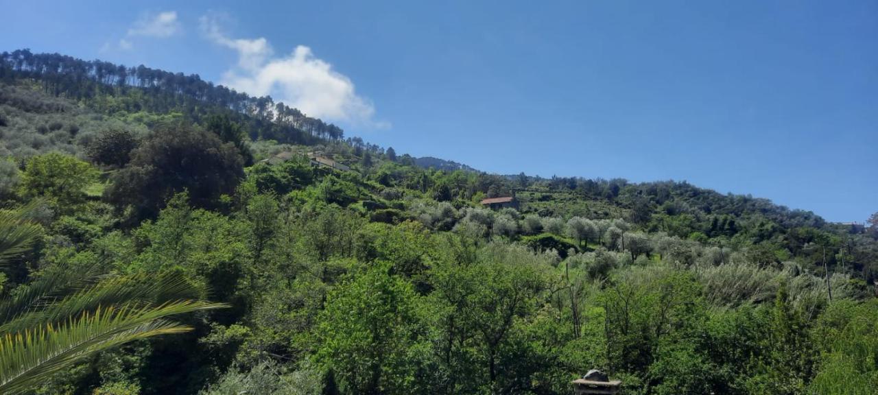 Vecchio Mulino Fontona Ortensia Chiesanuova  Extérieur photo
