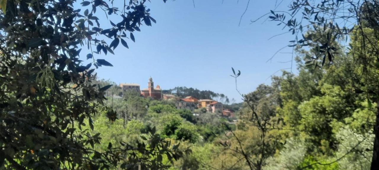 Vecchio Mulino Fontona Ortensia Chiesanuova  Extérieur photo
