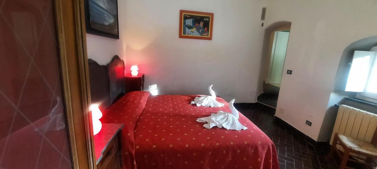 Vecchio Mulino Fontona Ortensia Chiesanuova  Extérieur photo